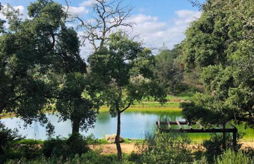 Quinta do Pé da Charca - Foto 22