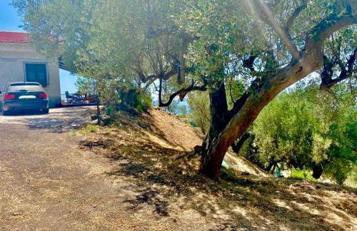 Villa Lo Scoglio - Foto 18