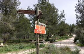 Appartement avec terrasse dans maison individuelle - Foto 30