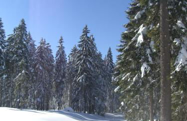 Richterhof Wellness Apartments Bayerischer Wald - Foto 41