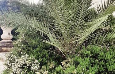 Villa Carrieri - Foto 68