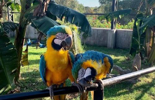 GO 22 - Studio com vista para a serra com piscina, prox PUC - Foto 17