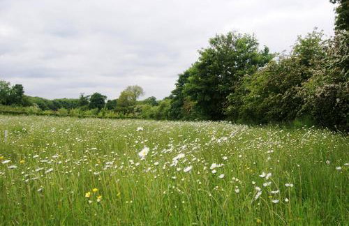 The Old Pump House - Photo 9