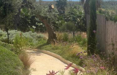 Templo Sotogrande - Foto 65