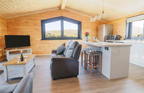 Bacheiddon Log Cabin - Photo 11