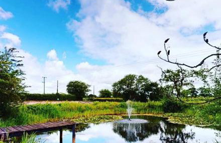 Luxury Barn with 3 ensuite Bedrooms Nr Southwold - Foto 24