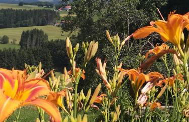 Ferienwohnung Waldhauser - Foto 17