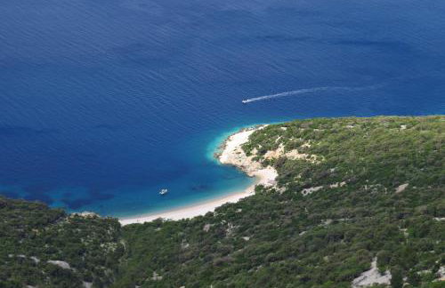 Apartman Biba - Foto 28