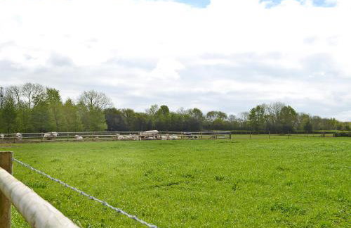 Llama Lodge - Foto 12