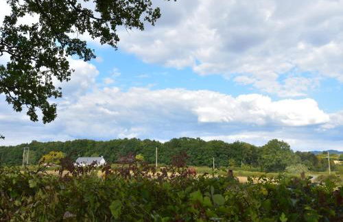 Maison Ferdinand - Foto 31