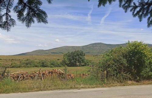 El Pinsapo - Foto 34