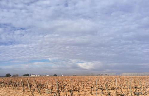 Casa Rural La Navarra - Foto 33