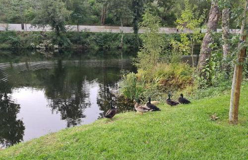 NATURE e SPA AL - Termas Saúde e Beleza, Totalmente Renovado - Piscinas Municipais em frente - Epoca Julho a Setembro - Foto 34