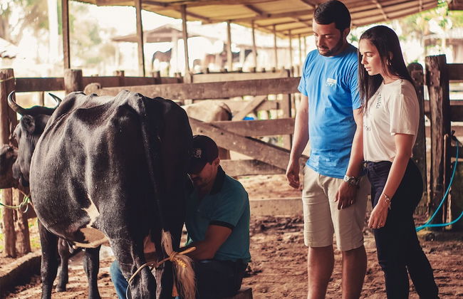 CONDOMÍNIO FAZENDA TRÊS TESOUROS - Foto 6