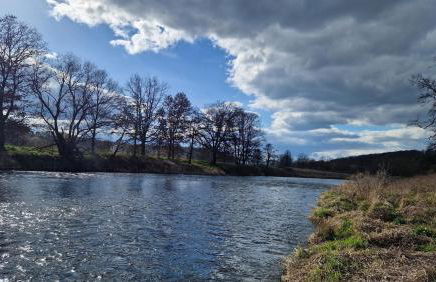 Ferienwohnung Geilert - Foto 15