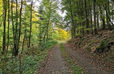 FeWo Albrecht direkt am Diemelsteig - Foto 26