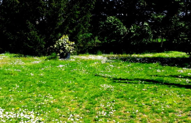 Agriturismo Corte Trincerone - Foto 40