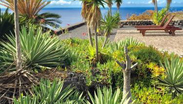 Casa rural Los Llanos Negros - Foto 3