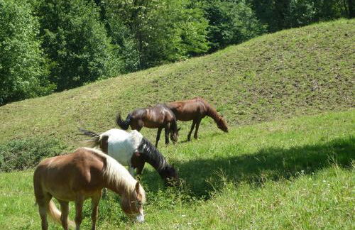 Agriturismo la Fattoria al Crocefisso - Foto 14