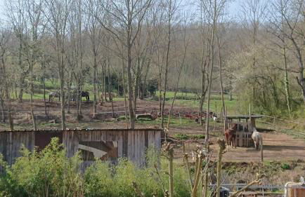 Gîte Alsace maison indépendante proche Strasbourg - Foto 25