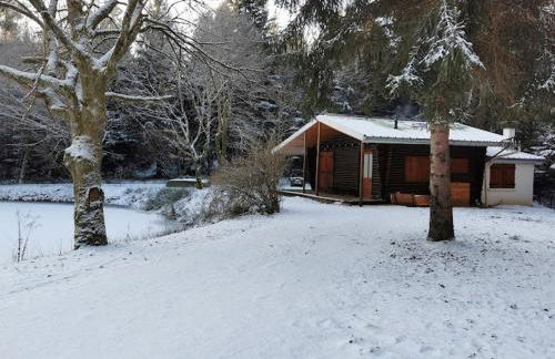Chalet - gîte avec étang - Foto 15