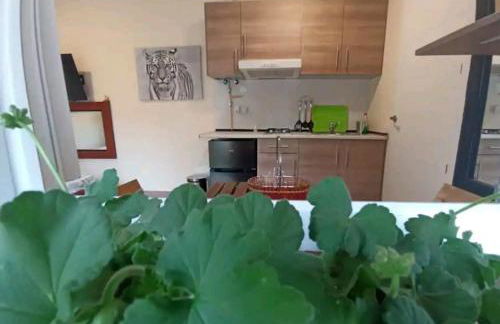 Cabaña del olivo - Photo 13