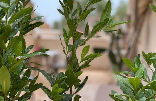 Grano Arso Appartamento Turistico - Foto 46