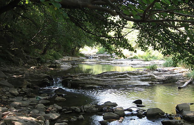 Three Bedroom House With Garden Only 10 km From Veliko Tarnovo - Photo 23