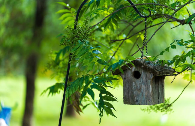 Pet-friendly Marble Falls Home w/ Hot Tub! - Foto 41