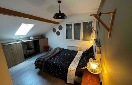 appart du Vernay - Foto 12