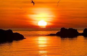 Villa Dams - Foto 18