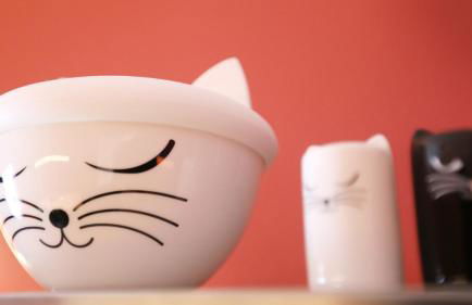 Gästehaus-Fulda - Foto 14