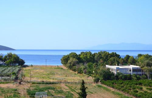 Alexandros Apartments - Foto 50