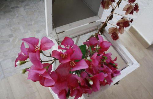 Villa a due passi dal mare "Cicogne Apartment" con BBQ e parcheggio gratuito a due passi dall'Aeroporto - Foto 54