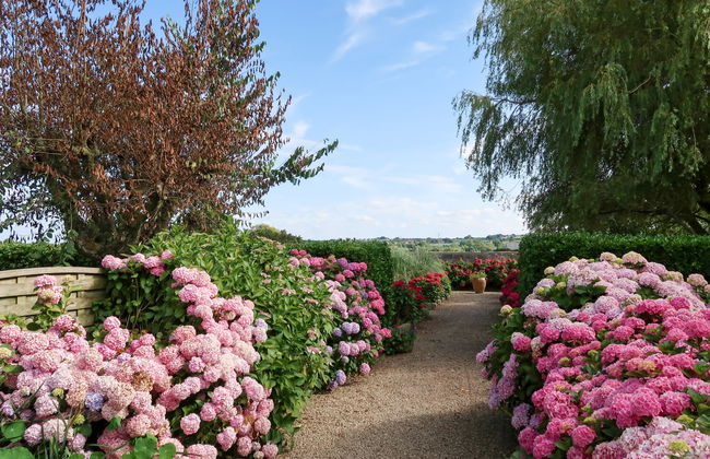 La Moineaudière - Foto 17