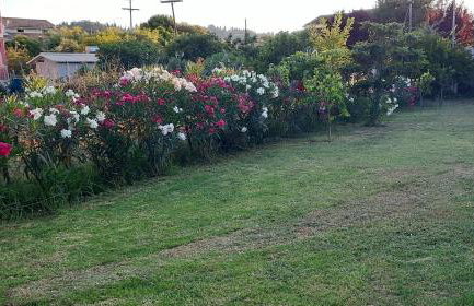 Corfu River House - Photo 52