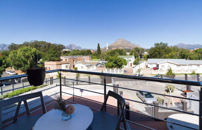 WINK Quiver Tree - Foto 37