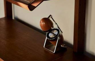 Eichler Mid Century Modern Designer Pool/Jacuzzi - Foto 28