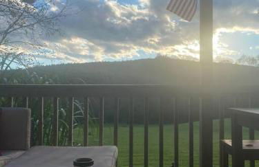 Corner's Cabin - A-Frame - Catskills NY - Foto 39