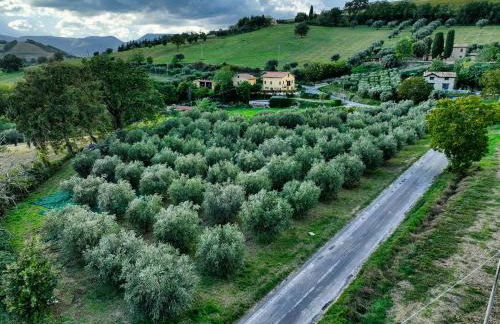Colombaia Anibaldi Rooms - Foto 77