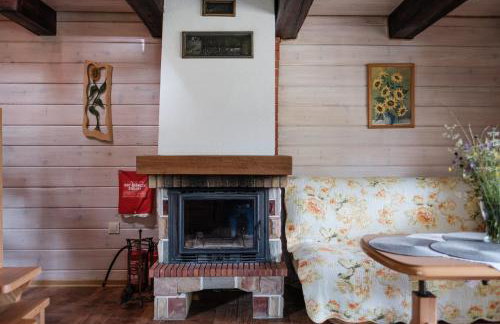 Dom Malowany domki - Foto 52