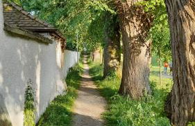 Haus Maria - Photo 25