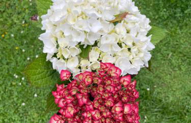 Tolle 2-Zimmer Wohnung in Elberfeld - Foto 23