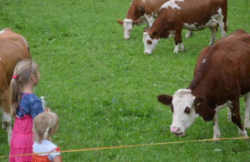 Ausserwegerhof - Photo 23