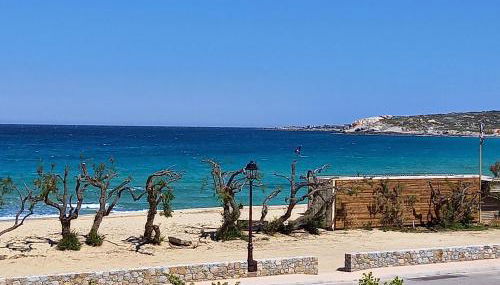 Studio standing classé meublé de tourisme avec terrasse vue mer " les pieds dans l'eau " à Algajola - Foto 5