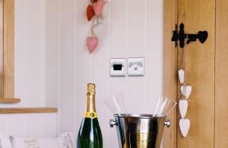 Shepherd's Hut- Hot Tub- Wellness Spa- Wood Burner - Foto 24