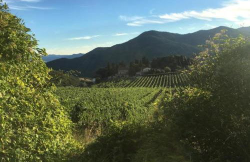 Tuscan Hideaway with Pool - Foto 39