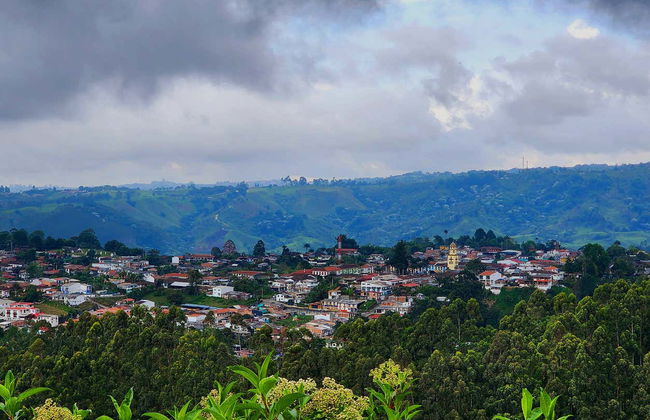 Excursion privée au sanctuaire de palmiers à cire de Tochecito - Photo 2