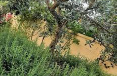 Apartments Casa Karmen - Foto 13