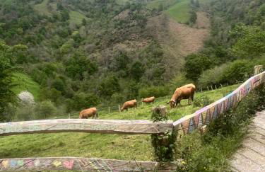 La Casina del Cabecin en Parque Natural de Redes - Foto 33